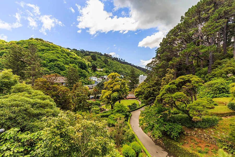 Wellington Botanical Garden